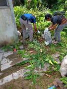 gempur-aedes-2