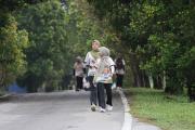 nature-run-8