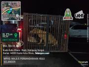 ops-anjing-3